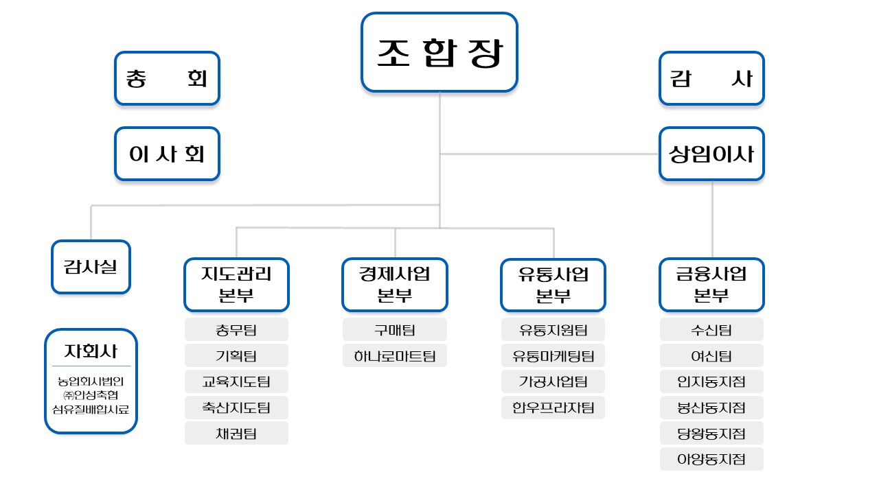 조직도